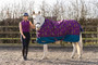 StormX Original Thelwell Collection Pony Friends Turnout Rug 100g in Imperial Purple/Pacific Blue - side lifestyle