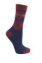 Little Rider Childrens Riding Star Collection Three Pack Socks in Navy/Burgundy