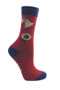 Little Rider Childrens Riding Star Collection Three Pack Socks in Navy/Burgundy - horse head and rosette pattern