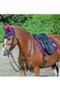Little Rider Childrens Riding Star Collection Fly Veil in Navy/Burgundy - lifestyle set