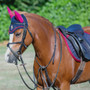 Little Rider Childrens Riding Star Collection Fly Veil in Navy/Burgundy - lifestyle set