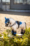 Mini LeMieux Pony Toy Dream - Lifestyle
