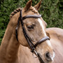 Henry James Saddlery Cavesson Bridle - Lifestyle