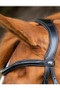 Premier Equine Glorioso Grackle Bridle - Black - 8016 -  Browband