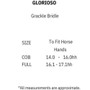 Premier Equine Glorioso Grackle Bridle - Size Guide