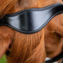 Premier Equine Glorioso Grackle Bridle - Black - Poll