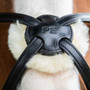 Premier Equine Glorioso Grackle Bridle - Black - 8016 -  Noseband