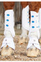 Premier Equine Air Cooled Original Eventing Boots - White - Boots