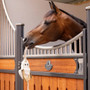 LeMieux Banana Horse Toy - Lifestyle