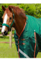 Premier Equine Buster Zero Turnout Rug with Classic Neck Cover 0g - Green