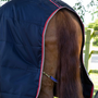 Premier Equine Stable Buster Lite 100g