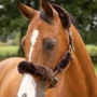 LeMieux Simuwool Headcollar Set - Brown - Lifestyle