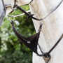 LeMieux Bib Martingale Attachment - Brown/Silver - Lifestyle