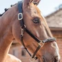 Henry James Saddlery Comfort 3D Air Headcollar - Havana