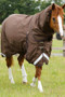 Premier Equine Buster Combo Turnout Rug with Snug-Fit Neck 400g in Brown - Lifetsyle Front