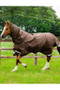 Premier Equine Buster Combo Turnout Rug with Snug-Fit Neck 400g in Brown - Lifetsyle