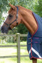 Premier Equine Buster Hardy Turnout Rug with Half Neck 200g in Navy - half neck