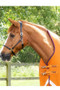 Premier Equine Buster Hardy Turnout Rug with Half Neck 200g in Burnt Orange - half neck