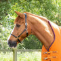 Premier Equine Buster Hardy Turnout Rug with Half Neck 200g in Burnt Orange - half neck