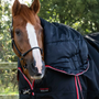 Premier Equine Buster Storm Combo Turnout Rug with Snug-Fit Neck Cover 400g
