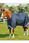 Premier Equine Buster Turnout Rug with Classic Neck 70g in Navy - lifestyle no neck cover