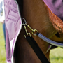 Premier Equine Buster Turnout Rug with Classic Neck 70g in Purple