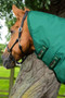 Premier Equine Buster Storm Turnout Rug with Classic Neck Cover 220g in Green - neck cover