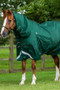 Premier Equine Buster Storm Turnout Rug with Classic Neck Cover 220g in Green - lifestyle