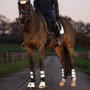 LeMieux Reflective Over Reach Boots - Lifestyle