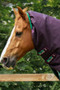 Premier Equine Buster Turnout Rug with Snug-Fit Neck Cover 200g in Purple - neck cover