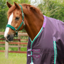 Premier Equine Buster Turnout Rug with Snug-Fit Neck Cover 200g in Purple
