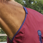 Premier Equine Buster Zero Original Turnout Rug in Burgundy