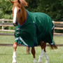 Premier Equine Buster Zero Original Turnout Rug in Green