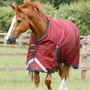 Premier Equine Titan Original Turnout Rug 100g in Burgundy