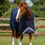 Premier Equine Titan Original Turnout Rug 200g in Navy