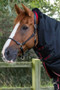 Premier Equine Titan Trio Complete 4 in 1 Turnout Rug in Black - neck cover