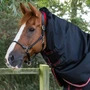 Premier Equine Titan Turnout Rug with Snug-Fit Neck Cover 100g in black