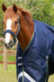 Premier Equine Titan Turnout Rug with Snug-Fit Neck Cover 40g in Navy - no neck