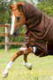 Premier Equine Titan Turnout Rug with Snug-Fit Neck Cover 300g in Brown - lifestyle