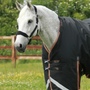 Premier Equine Titan Turnout Rug with Snug-Fit Neck Cover 300g in Black