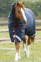 Premier Equine Titan Turnout Rug with Snug-Fit Neck Cover 450g in Navy - lifestyle
