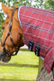 Premier Equine Domus Stable Rug 200g in Burgundy Check - neck cover
