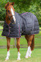 Premier Equine Garissa Stable Rug 200g in Black - lifestyle