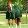 Premier Equine Garissa Stable Rug 100g - Green
