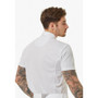 Premier Equine Mens Antonio Short Sleeve Show Shirt in White - back