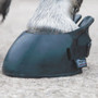 Shires Temporary Shoe Boot - Black