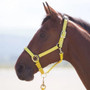 Shires Topaz Nylon Headcollar - Yellow