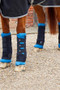 Premier Equine Bi-Polar Magni-Teque Boot Wraps in Black - lifestyle front and hind boots
