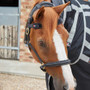 Premier Equine Bi-Polar Magni-Teque Brow Band in Black - lifestyle