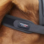 Premier Equine Bi-Polar Magni-Teque Brow Band in Black - branding